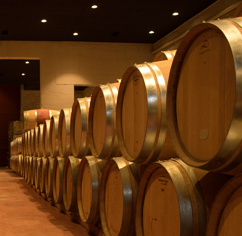 Château Yon-Figeac — photo 10