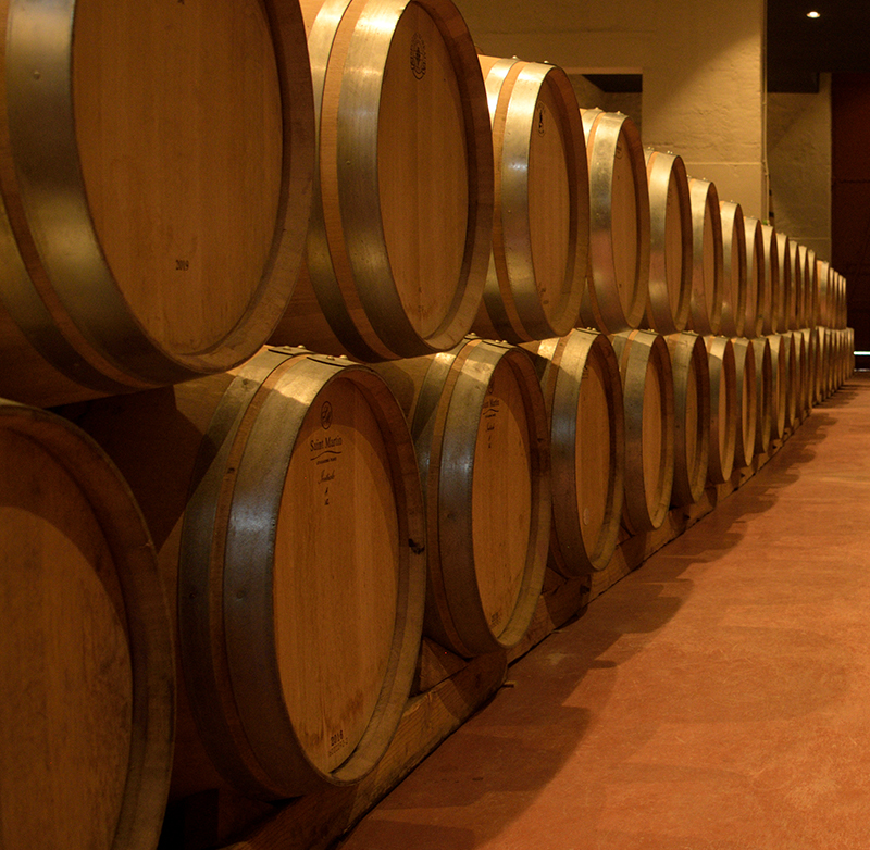 Château Yon-Figeac — photo 9