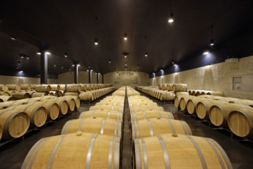 Visite Vins et Fromages de pays