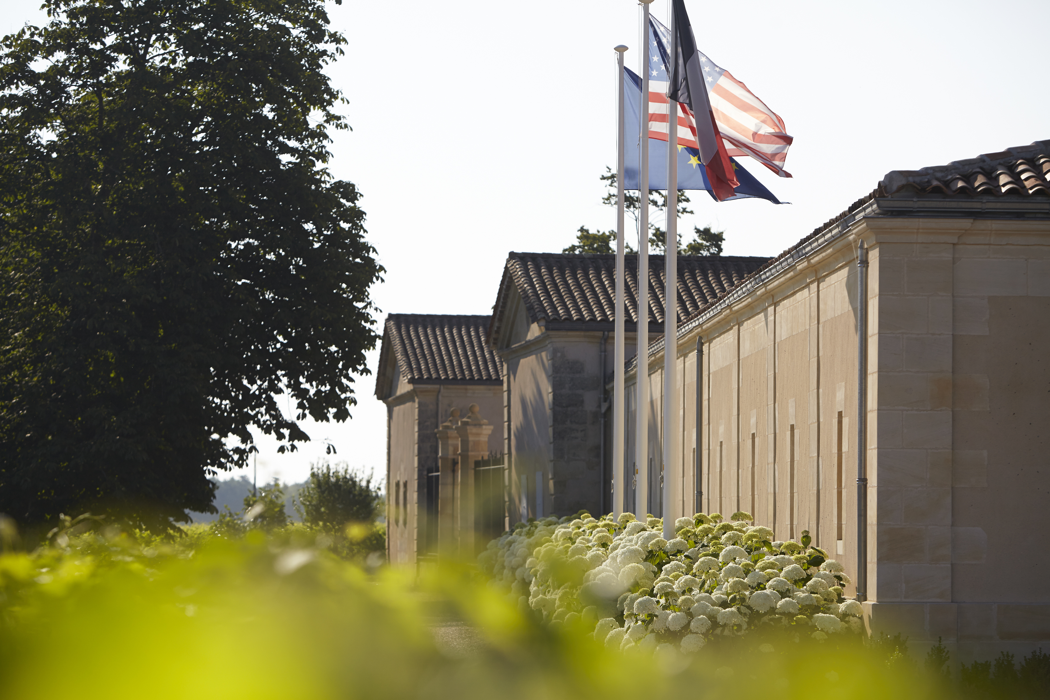 Château Corbin - Saint-Émilion Grand Cru