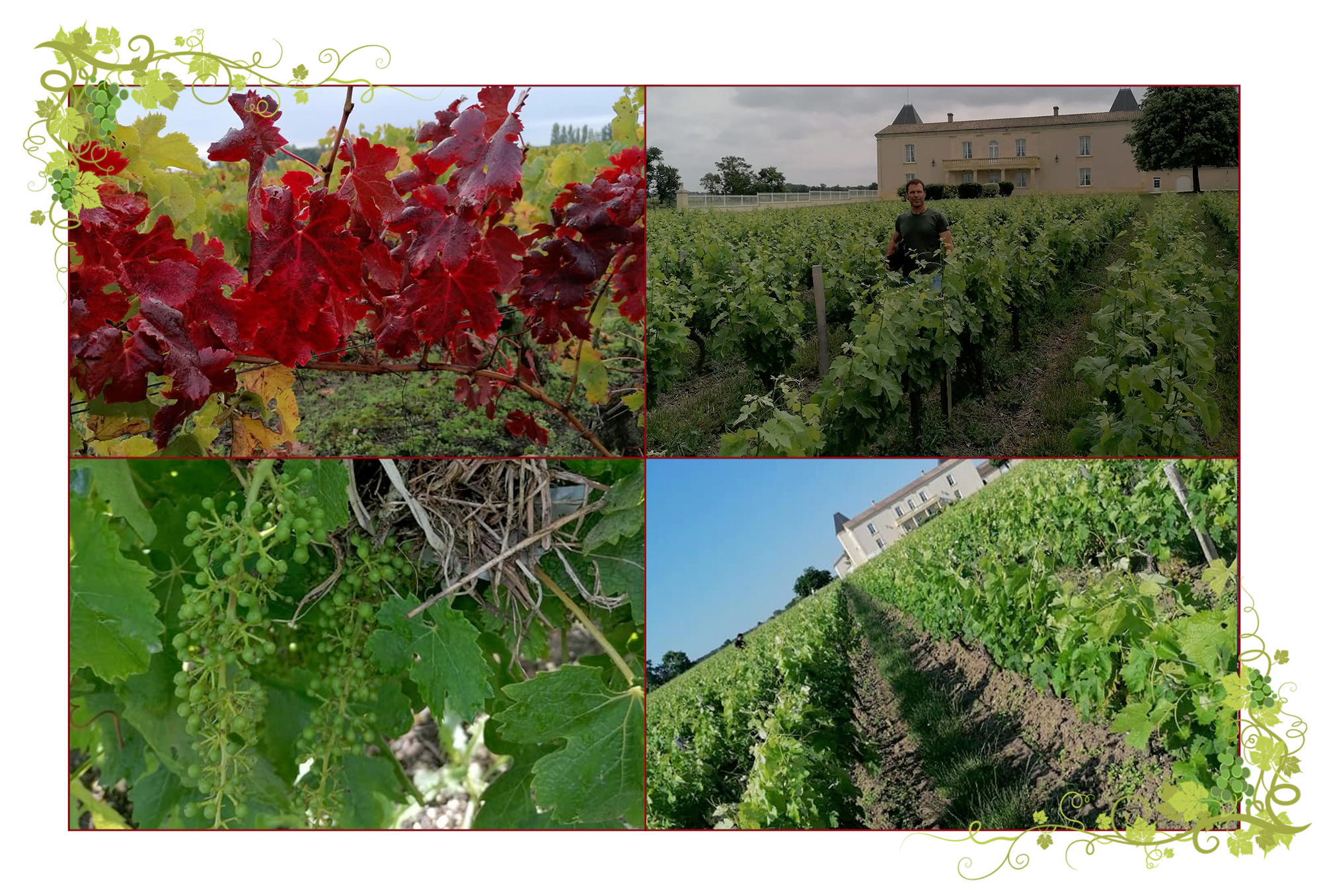 L'histoire de notre Château Haut Barrail en Gironde