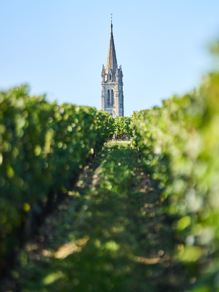 Château la Croix de Gay — photo 4