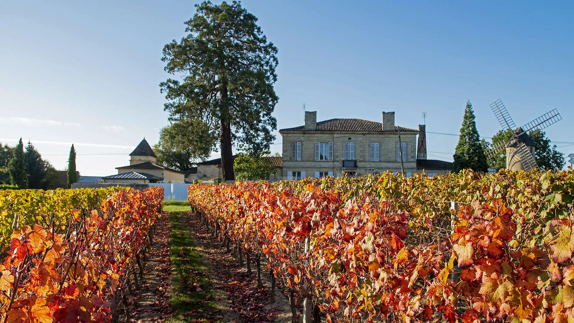 Château de l'Orangerie