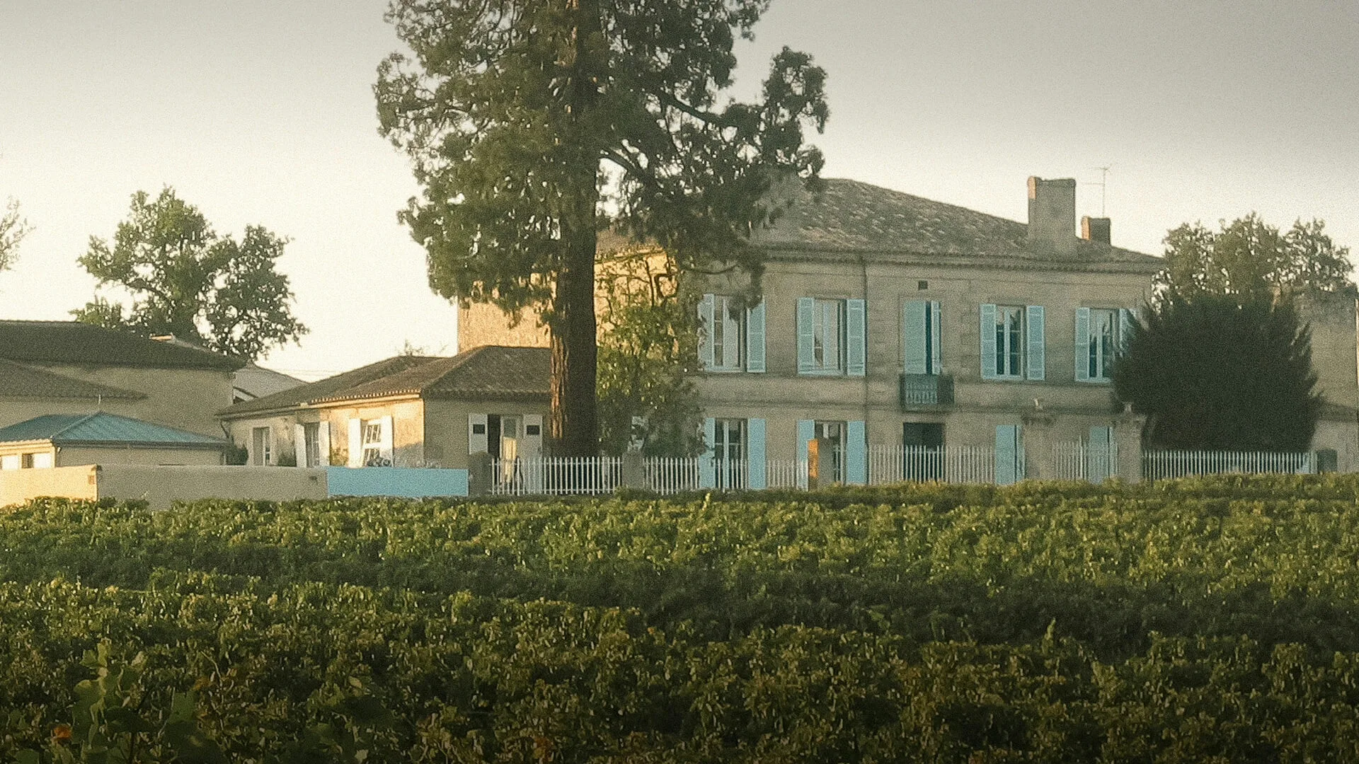 Le château de l'Orangerie vu depuis les vignes
