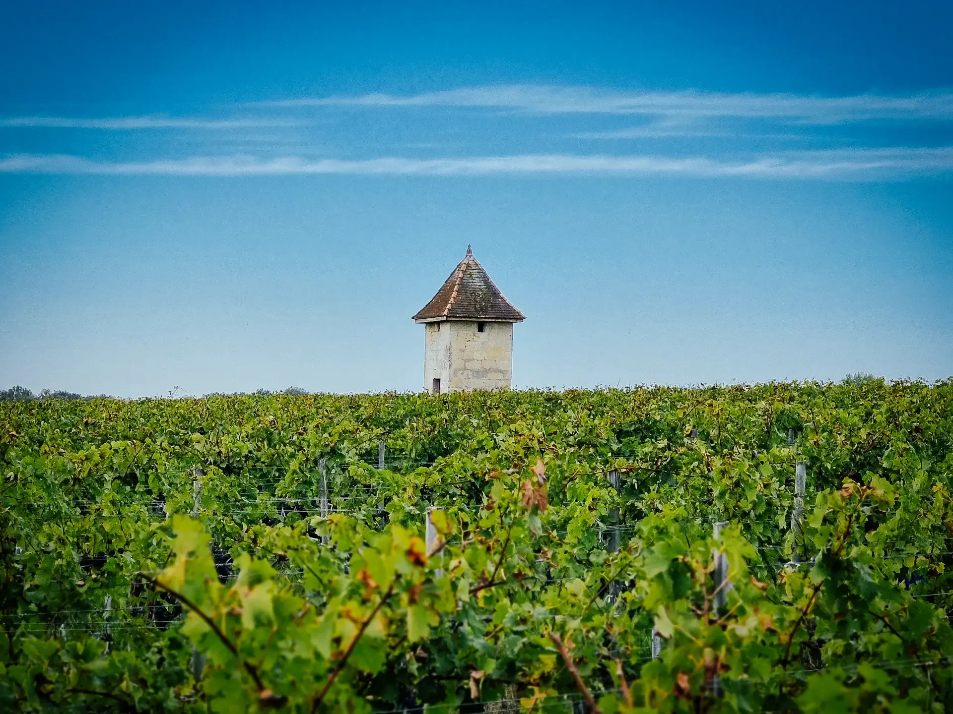 Château Boyd-Cantenac — photo 9