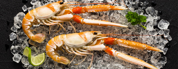 Clos la Madeleine — photo 3