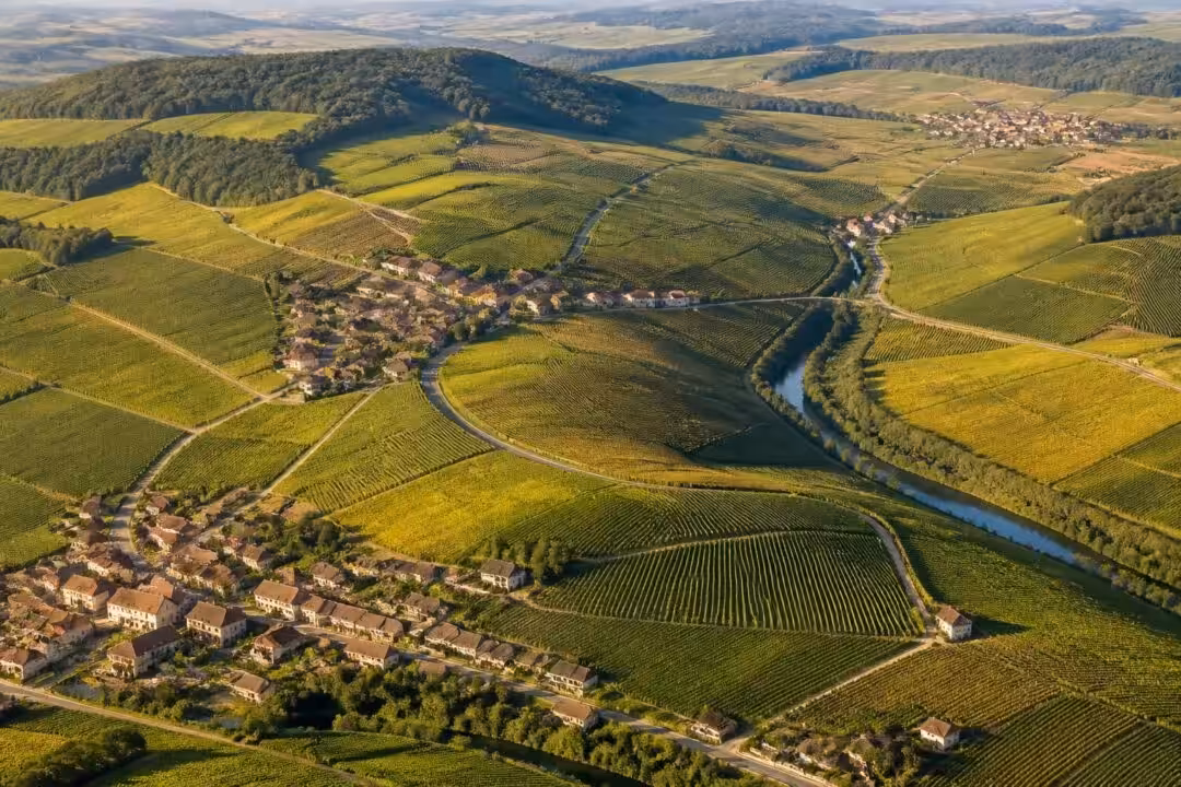 découvrez notre carte de la champagne viticole et apprenez à bien vous repérer dans cette région célèbre pour ses vignobles et son champagne d'exception.