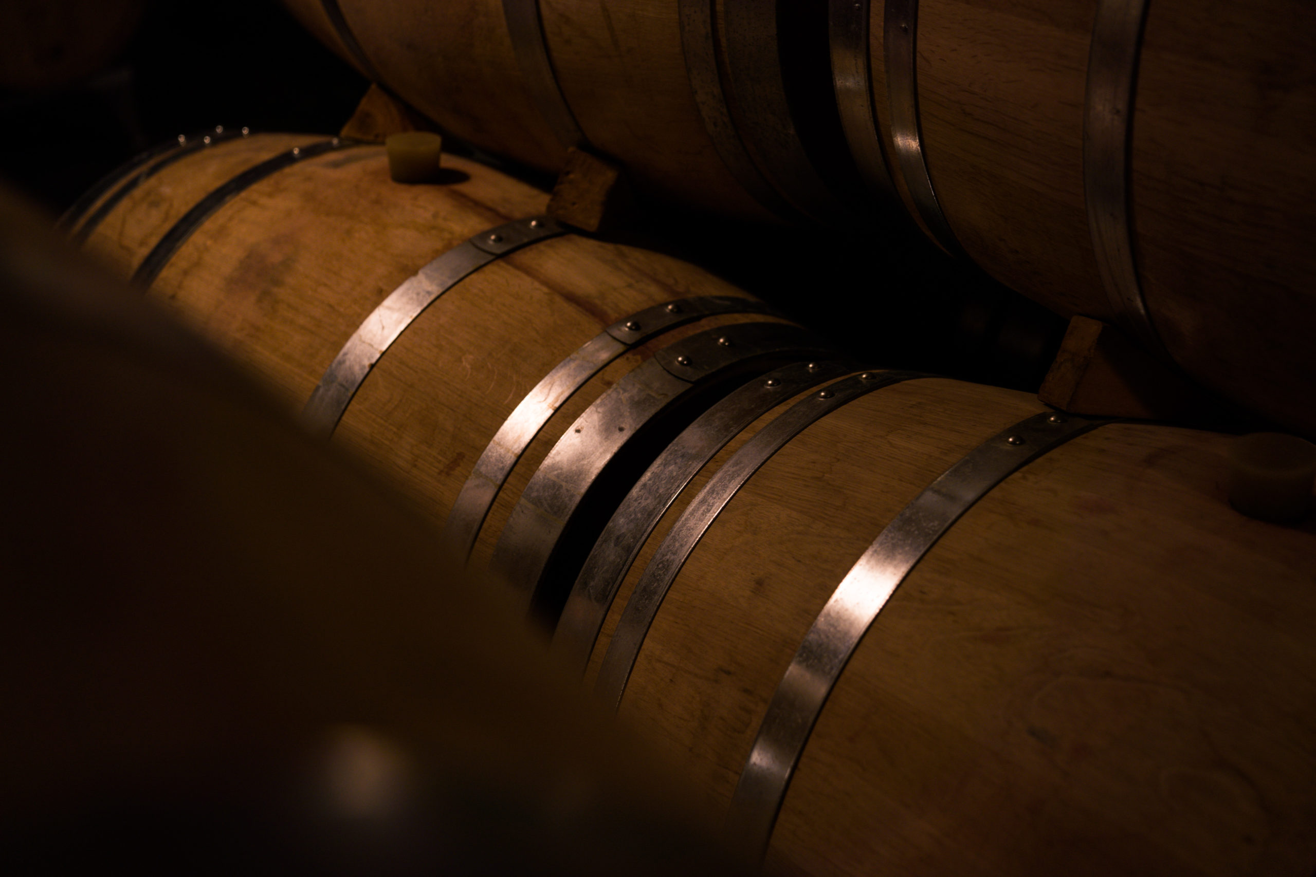 SCEA Vignobles Dubourg — photo 2