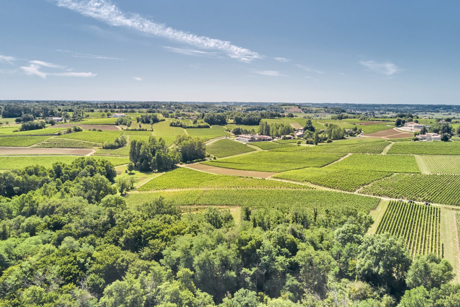 Château Fleur Cardinale - Saint-Émilion Grand Cru