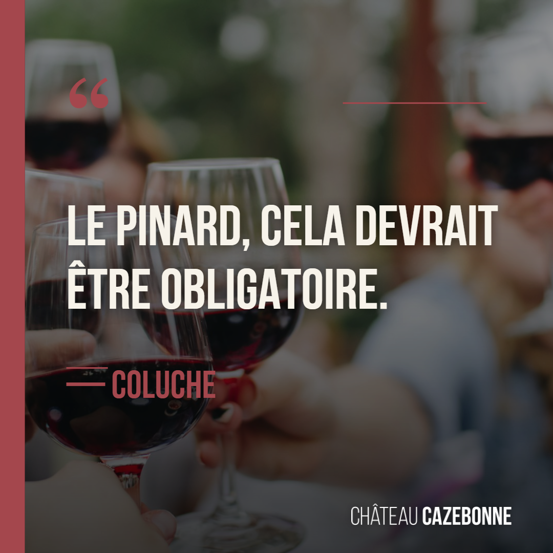 Le pinard, cela devrait être obligatoire.