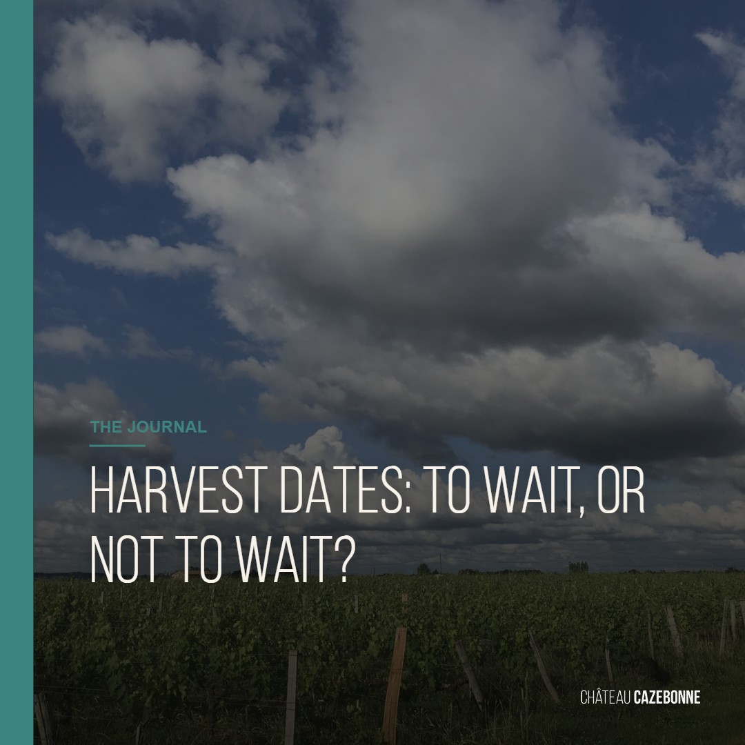 Harvest Dates: To Wait or Not to Wait?