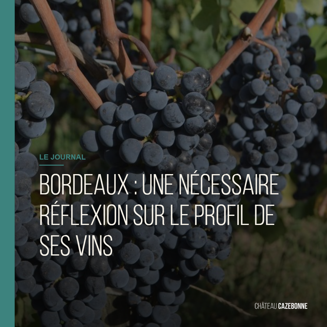 Bordeaux : une nécessaire réflexion sur le profil de ses vins