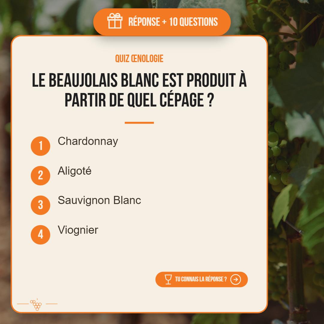 Saurez-vous répondre ? 🍷