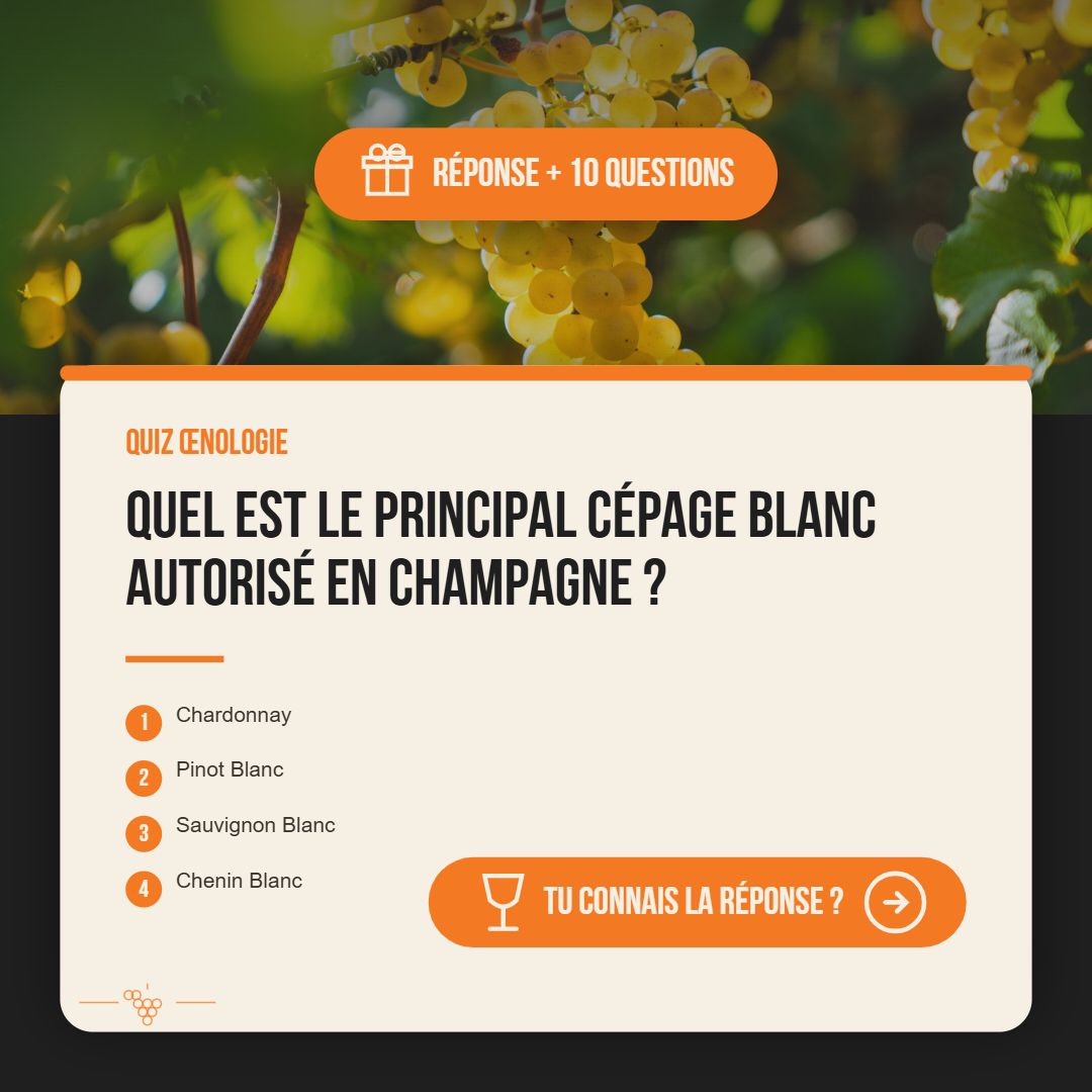 Saurez-vous répondre ? 🍷