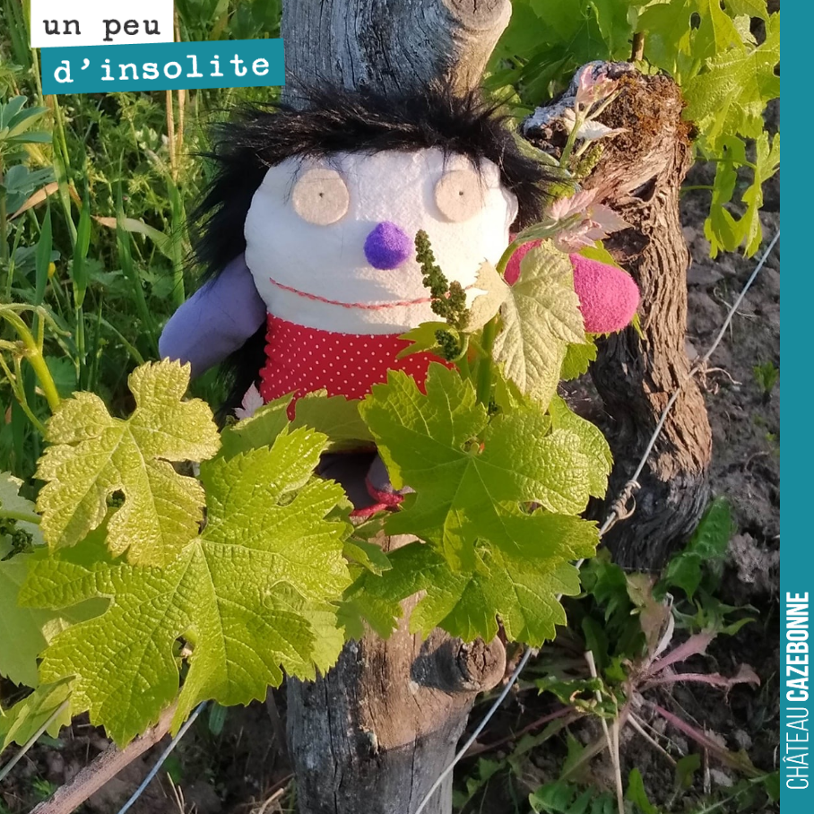 Ma foi, Henri le hérisson, a l’air de bien se plaire dans nos vignes.
Et qu’est ce que cette petite manne sent bon !