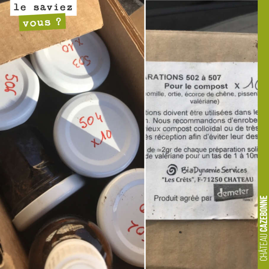 Les préparations de la biodynamie (502 à 507) nous permettent de dynamiser nos composts et notamment notre préparation Maria Thun.
