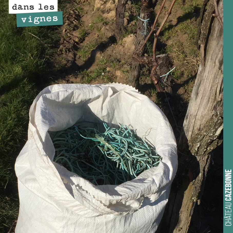 Nous avons repris un fermage sur une parcelle. Nous avons enlevé toutes les anciennes attaches en plastique non dégradables pour les remplacer par des attaches en coton.
Un sac complet sur une parc...