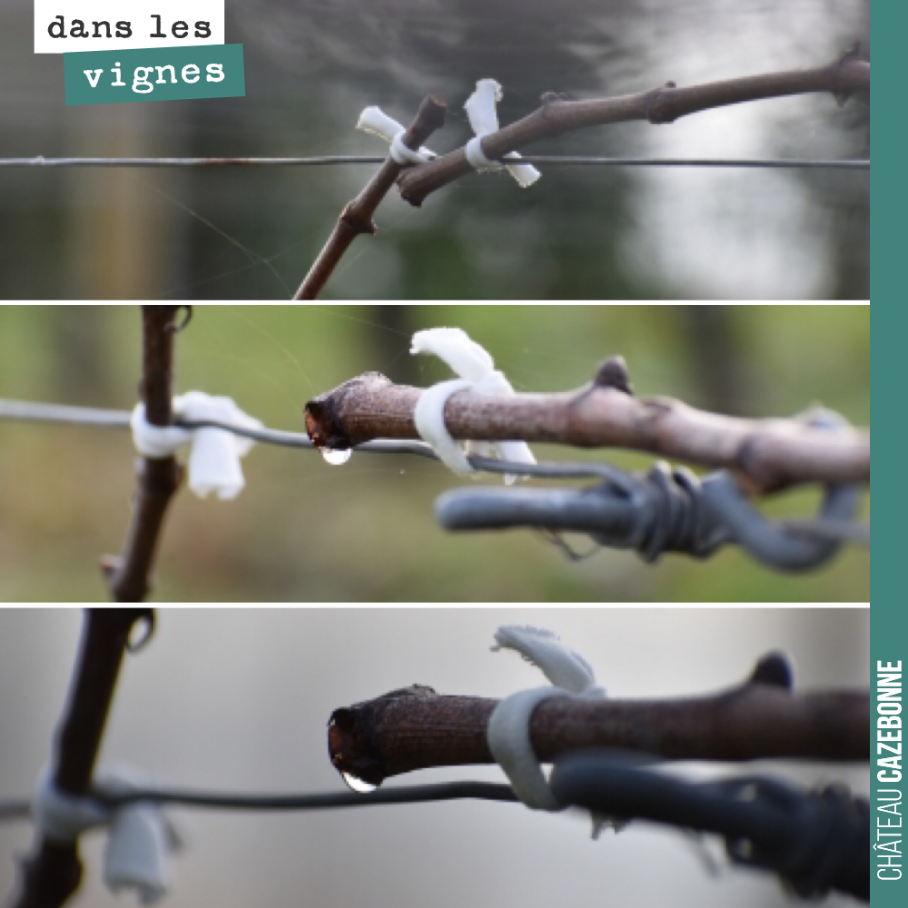 On attache peu à peu les bois en faisant bien attention de ne pas les casser. Très fragile les bois en cette saison.