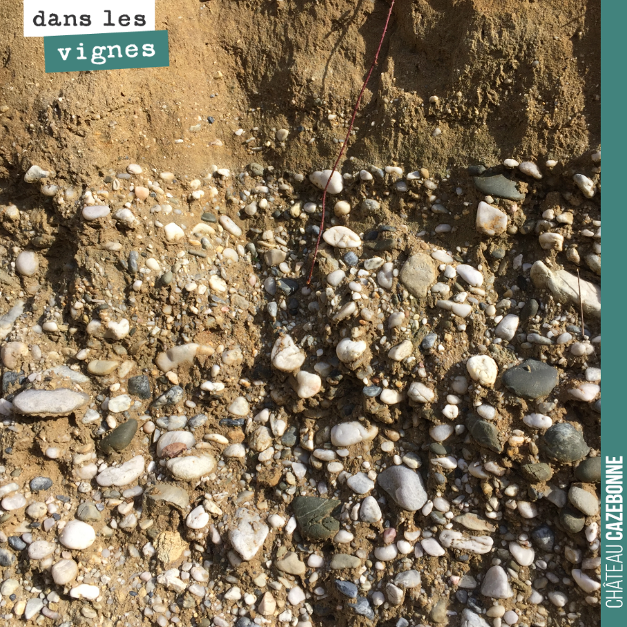 De jolis galets roulés en profondeur de nos sols de Peyron-Bouché.
Ces terroirs permettent à la vigne de s’enraciner profondément, souvent au delà de 15 mètres. C’est là qu’elle va trouver de l’ea...