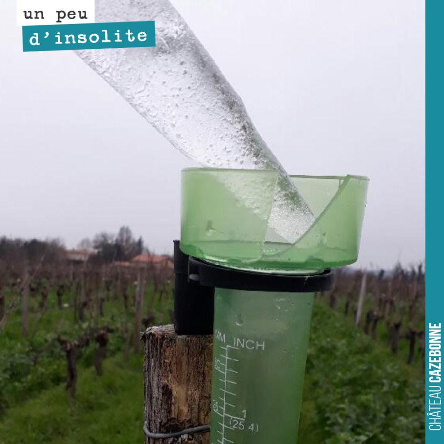 Pluie plus gel ne font pas bon ménage.
40 mm de pluie ce week-end qui ont gelé dans le pluviomètre ce matin.