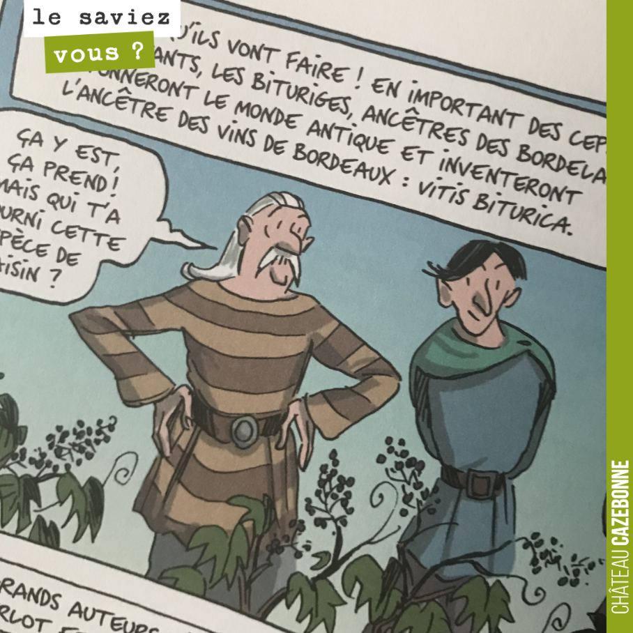 Les bituriges, nos ancêtres girondins, ont été chercher des plants de vigne en Espagne dans les contreforts des Pyrénées pour trouver des cépages s’adaptant au climat océanique humide. Ils ramènent...