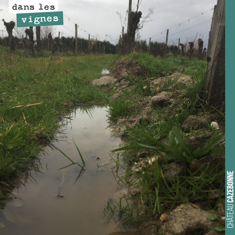 De l’eau, de l’eau, toujours de l’eau...
Depuis 15 mois, on bat tous les records de pluviométrie en Gironde. Presque le temps du pays basque.
Le travail de nos sols permet une assimilation régulièr...
