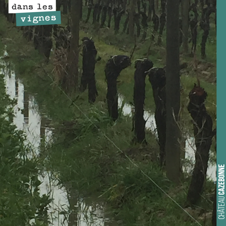 Ici, on a pas eu de neige, mais c’est le déluge ! Ça va reconstituer les nappes
phréatiques.
Et puis avec ses températures, l’avantage, c’est que l’eau se charge en oxygène, et fait descendre l’oxy...
