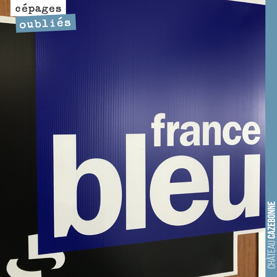 Enregistrement ce matin sur France Bleu Gironde pour parler des cépages oubliés en Gironde.
On vous tient au courant de la date de diffusion.