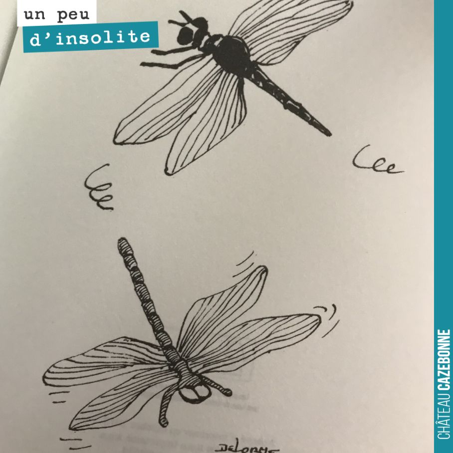 C’est beau une libellule, non ?
Dessin de Delorme dans la Stratégie de la libellule de Thierry Marx.