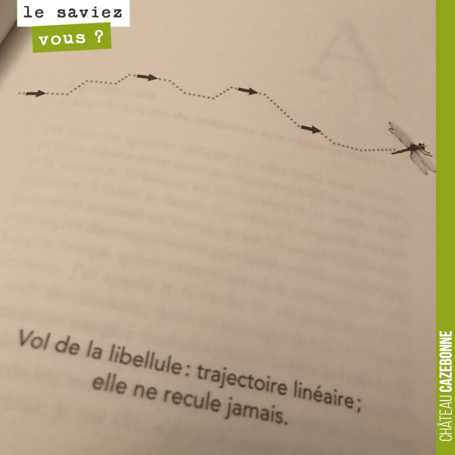 On se demandait pourquoi nous avions choisi la libellule pour emblème de château Cazebonne.
On a trouvé la réponse dans le dernier livre de Thierry Marx, la stratégie de la libellule.
C’est donc ça...