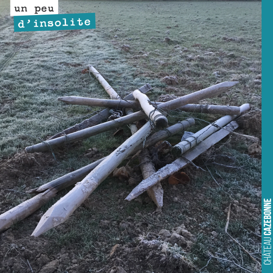 Quand notre équipe improvise une partie de Mikado en pleine journée !
Vous commenceriez par enlever quel piquet ?
