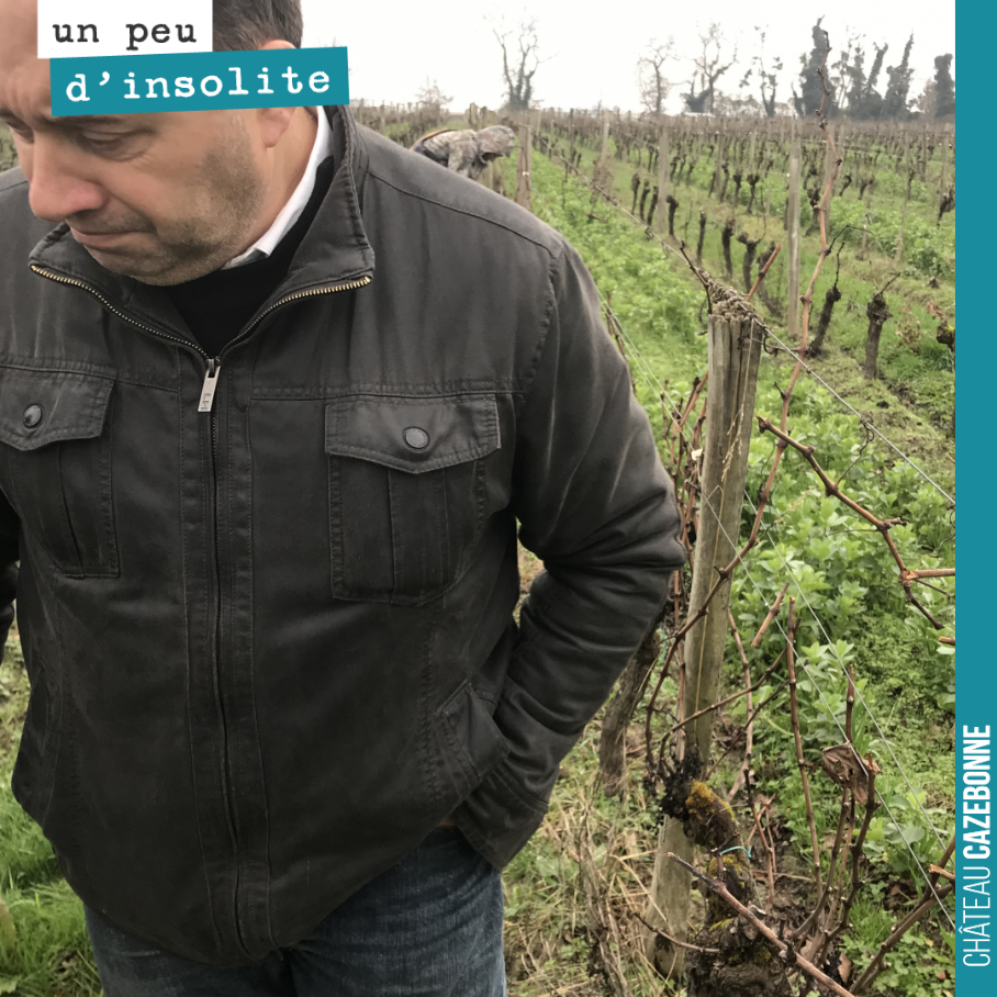 David fait la tête quand il voit le peu de bois que la grêle nous a laissé pour la taille.
Vivement le printemps !