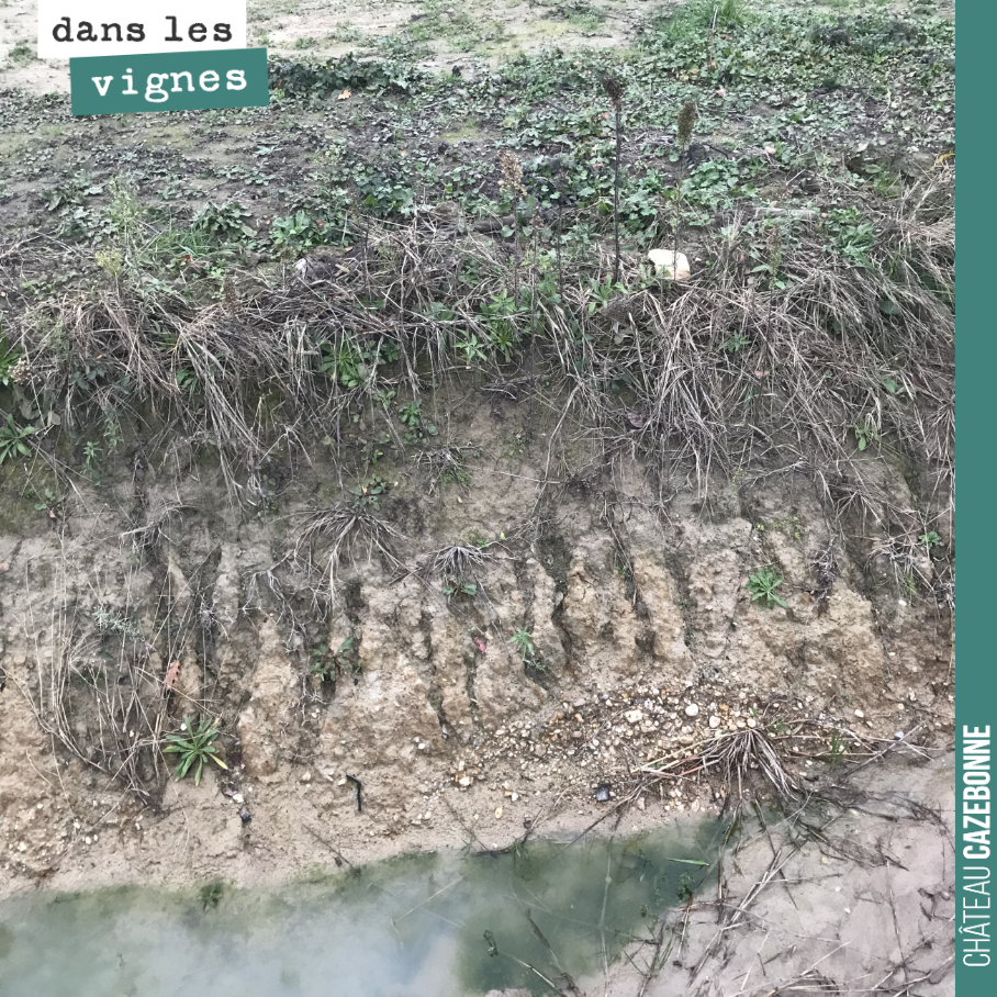 Sur un fossé que nous avons récemment creusé sur notre parcelle du Maine, on voit bien les couches de sols.
Une couche d’humus en surface, puis une épaisseur de sables et Graves fines, vient ensuit...