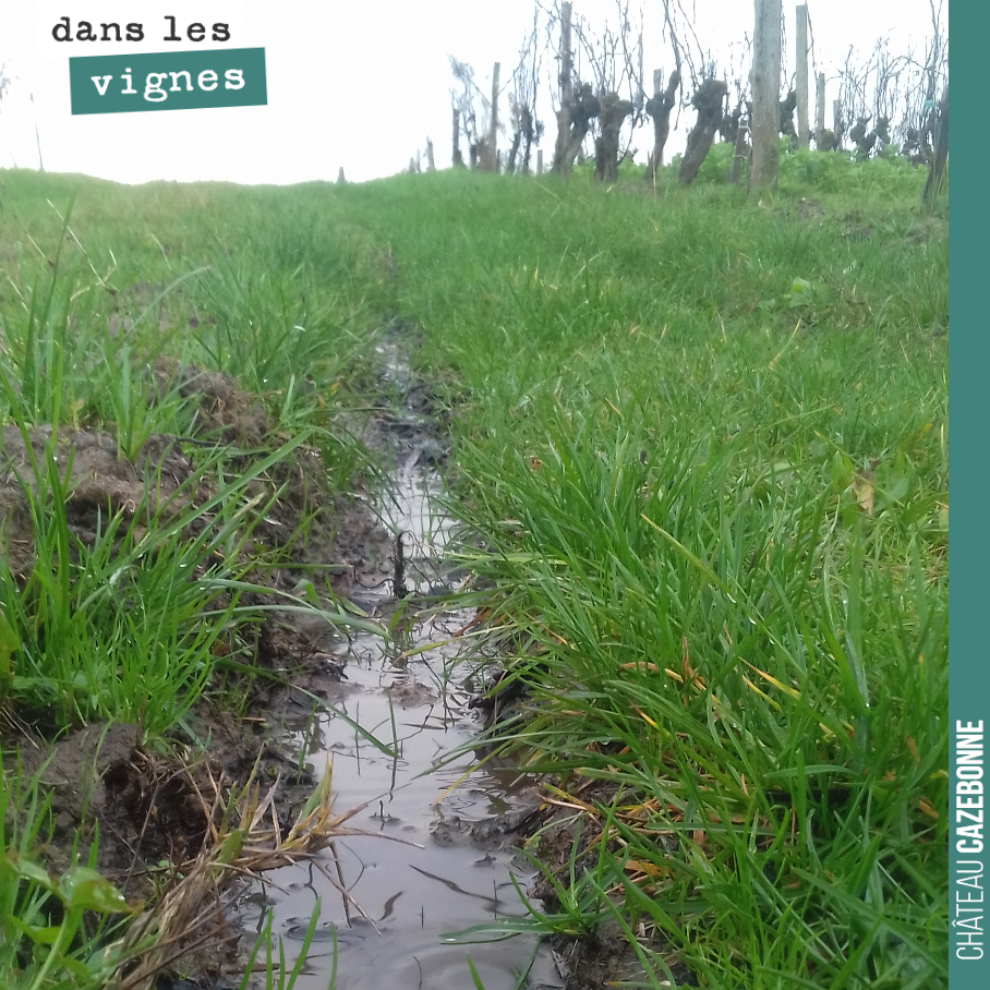 2018 aura été l’année de la pluie. Une année qui a battu tous les records de pluviométrie : on va finir à 1100 mm contre 600 mm en 2017.
Compliqué de conduire la vigne en bio dans ces conditions. M...