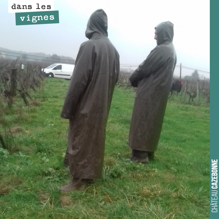 On a eu la visite de deux moines au domaine !
Non, plus sérieusement, il faut savoir se couvrir quand la météo n’est pas de la partie et qu’il faut quand même aller tailler la vigne.
Photo prise la...