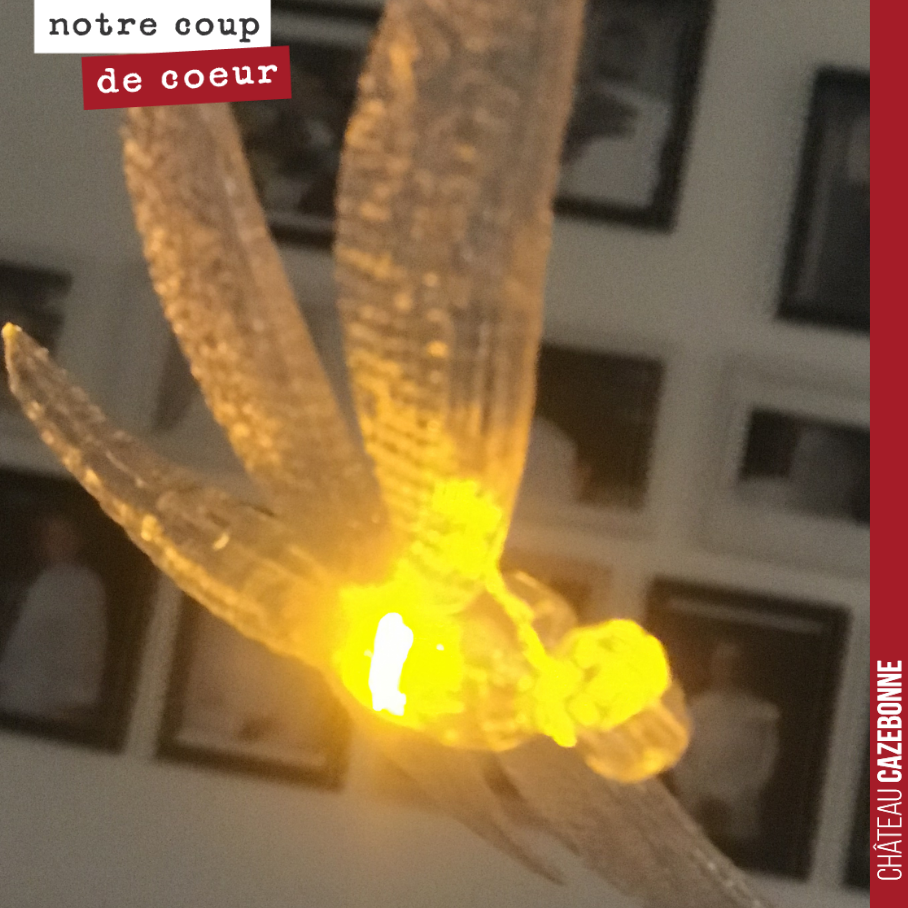 On adore ce luminaire libellule vu chez un ami.
La libellule, c’est pour nous un grand symbole de biodiversité. Elle sera présente sur toutes nos étiquettes.