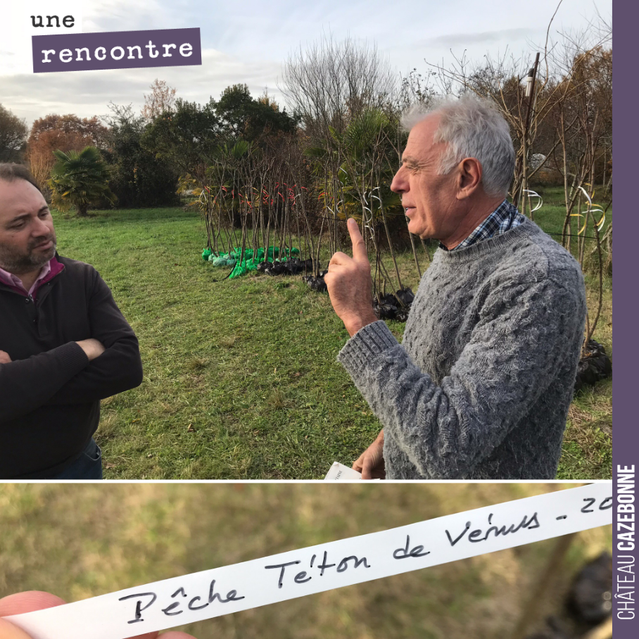 Passionnante visite hier chez Alain Breuille. Ce passionné a passé 40 ans de sa vie à collecter dans sa pépinière privée les anciennes variétés de pêches, de pavies et de brugnons. Plus de 120 vari...