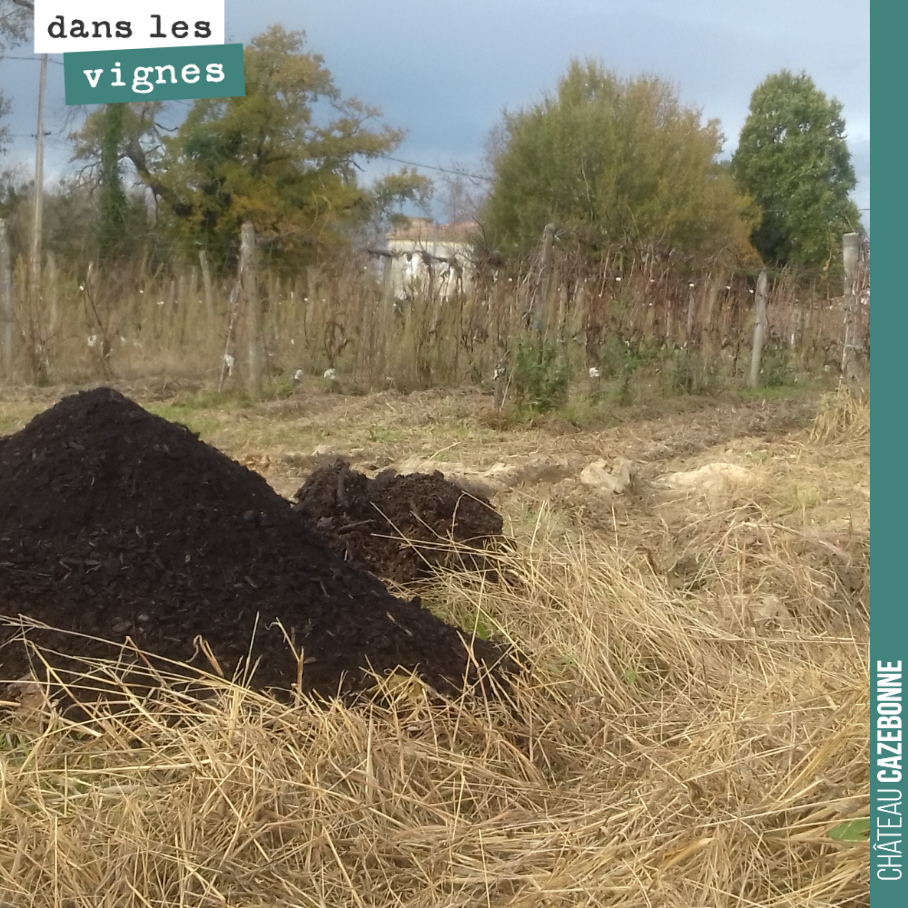 Ce tas de compost nous sera bien utile au jardin des vignes pour amender les sols en prévision du maraîchage que nous allons effectuer à même les rangs de vigne.