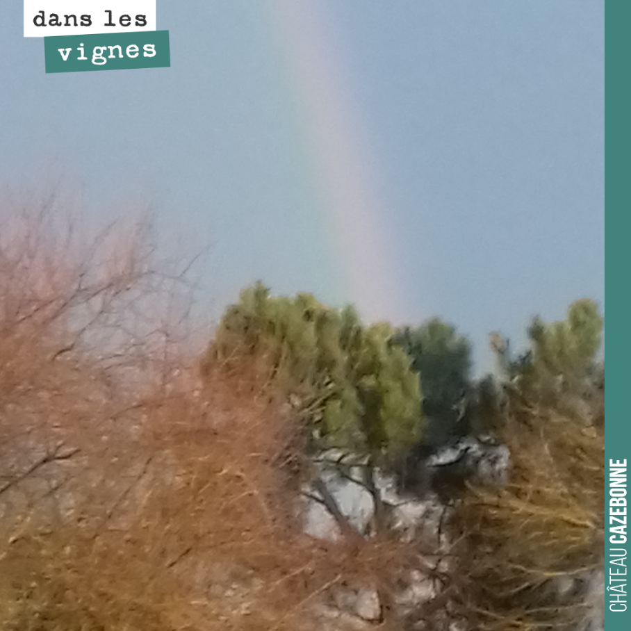 Quand un arc en ciel éblouit notre journée !