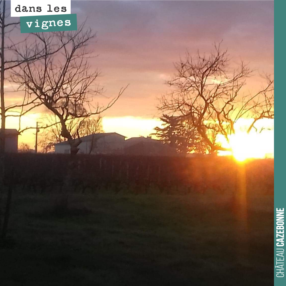 Profiter du lever du soleil à Cazebonne.
Bonne journée !