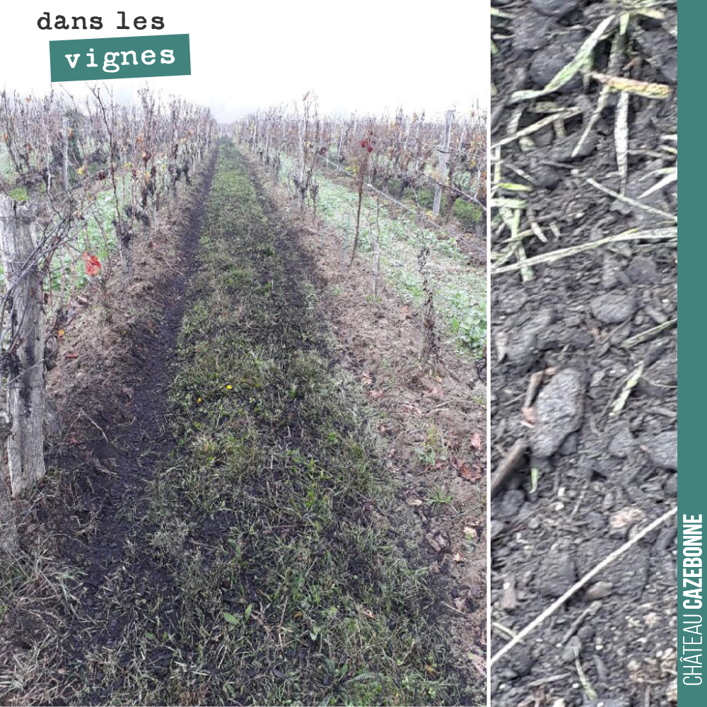 On finît aujourd’hui l’épandage des composts sur nos parcelles. On épand un rang sur deux, le deuxième rang est réservé aux couverts végétaux. Et on alternera l’année prochaine. Troisième année que...