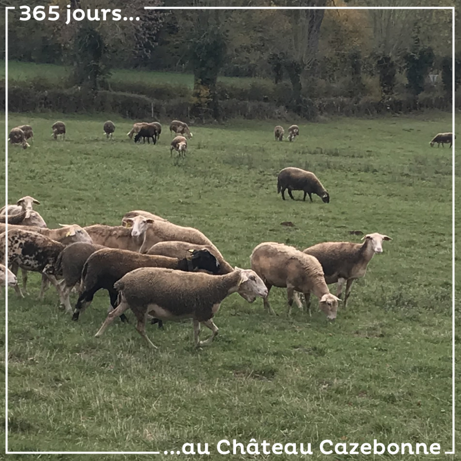 Pas doute, nous sommes en route pour les rencontres des cépages modestes à Saint-Côme d’Olt.