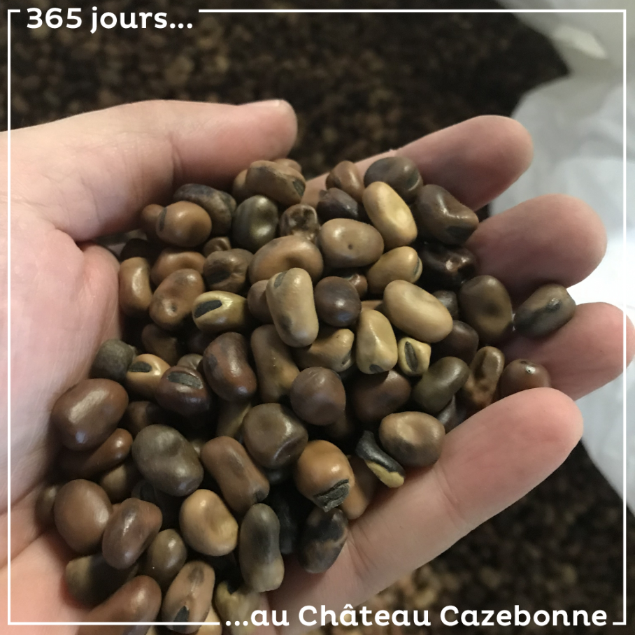 Vous savez ce que c’est ?