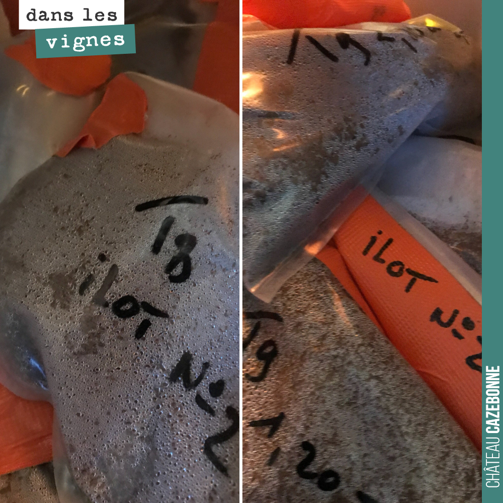 Les échantillons de terre que nous avons prélevé lors de nos carottages. Nous les avons placés au frigo pour stabiliser la vie microbienne avant envoi au labo. Merci à Temsol pour le sérieux du tra...