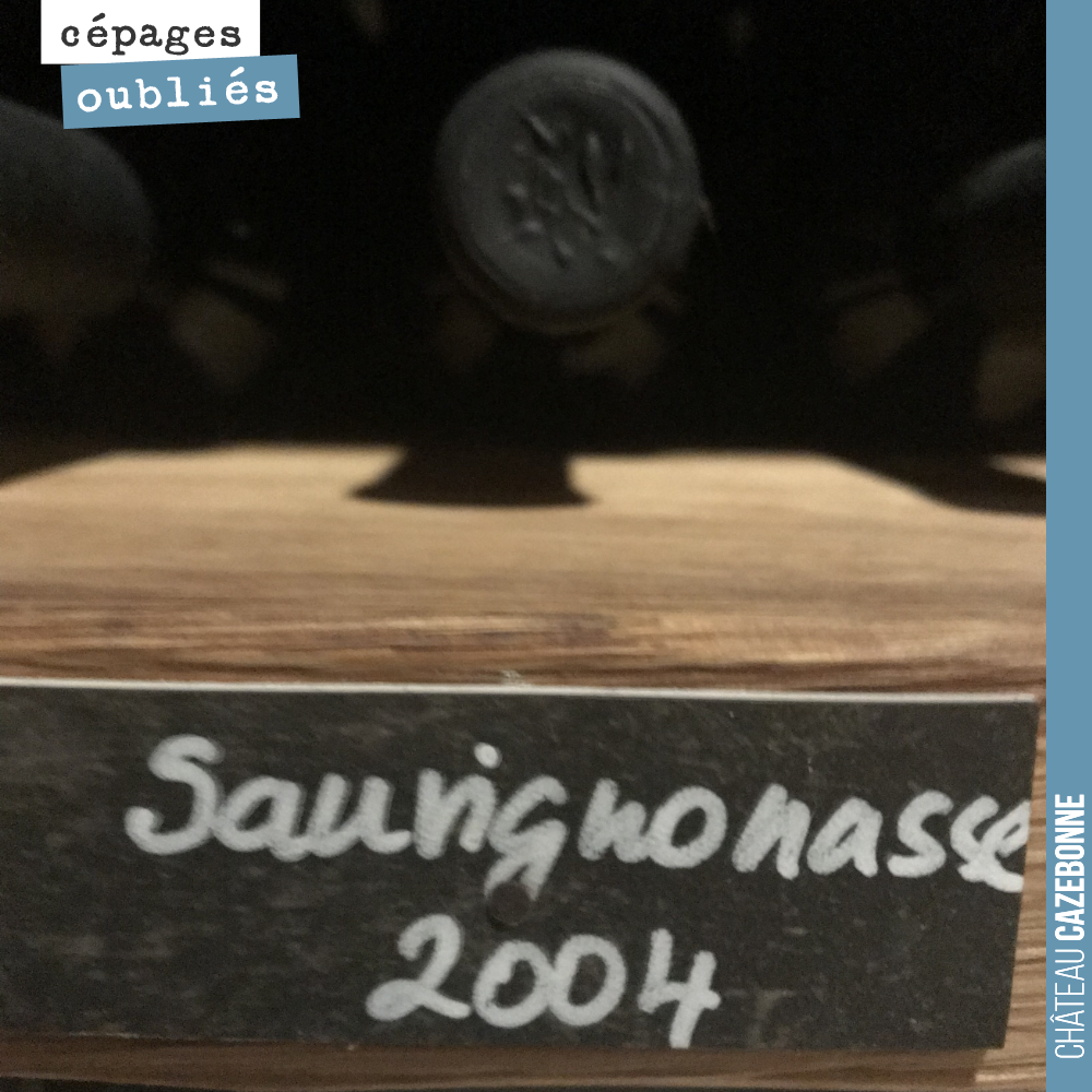 La sauvignonasse vieillit bien en Slovénie.
Hâte que l’on puisse déguster la notre.
Faudra peut-être qu’on l’appelle Sauvignon vert, parce que sauvignonasse, cela sonne quand même pas très bien...