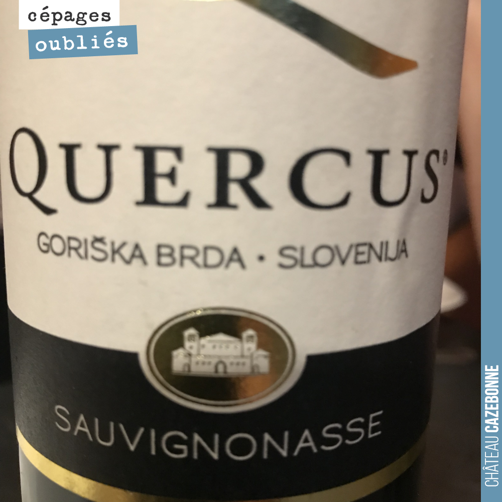 La sauvignonasse est un cépage historique de Bordeaux. Elle portait aussi le nom de Sauvignon vert. Ce cépage n’est plus autorisé en France.
Nous le retrouvons ici sur un linéaire de grande surface...