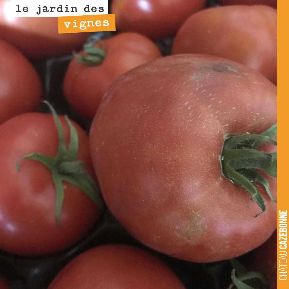 De bonnes tomates pleine terre, issues du jardin potager de Mounissens (le domaine de David le directeur du domaine). C’est ça l’été ! Le bonheur d’une bonne salade de tomates, avec des vrais tomat...