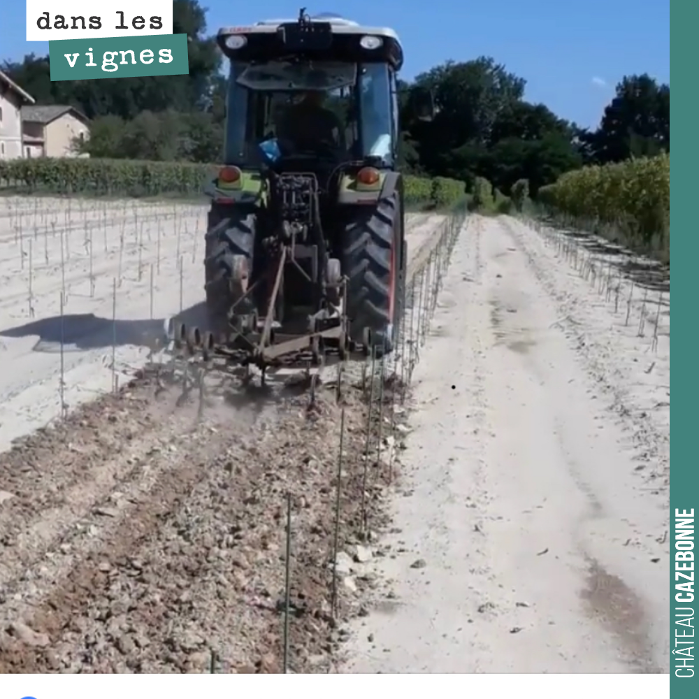 On passe les griffes pour casser la croûte qui s’est formée sur le sol suite au violent orage de grêle de la semaine dernière.
On va commencer demain à arroser les jeunes plantes de cépages ancien...