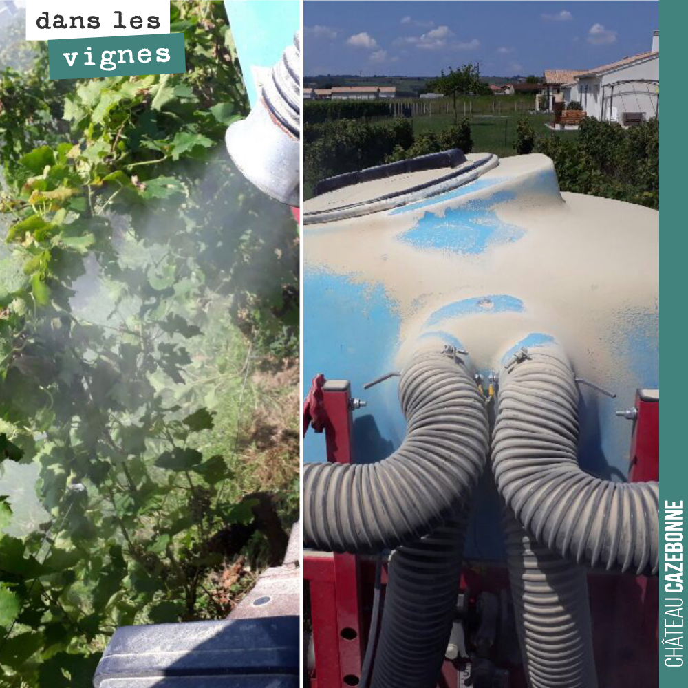 Nous continuons à intervenir sur la vigne pour éviter tout développement des maladies suite au dégâts causés par la grêle.
Aujourd’hui, nous effectuons un poudrage à l’argile afin de sécher le feu...
