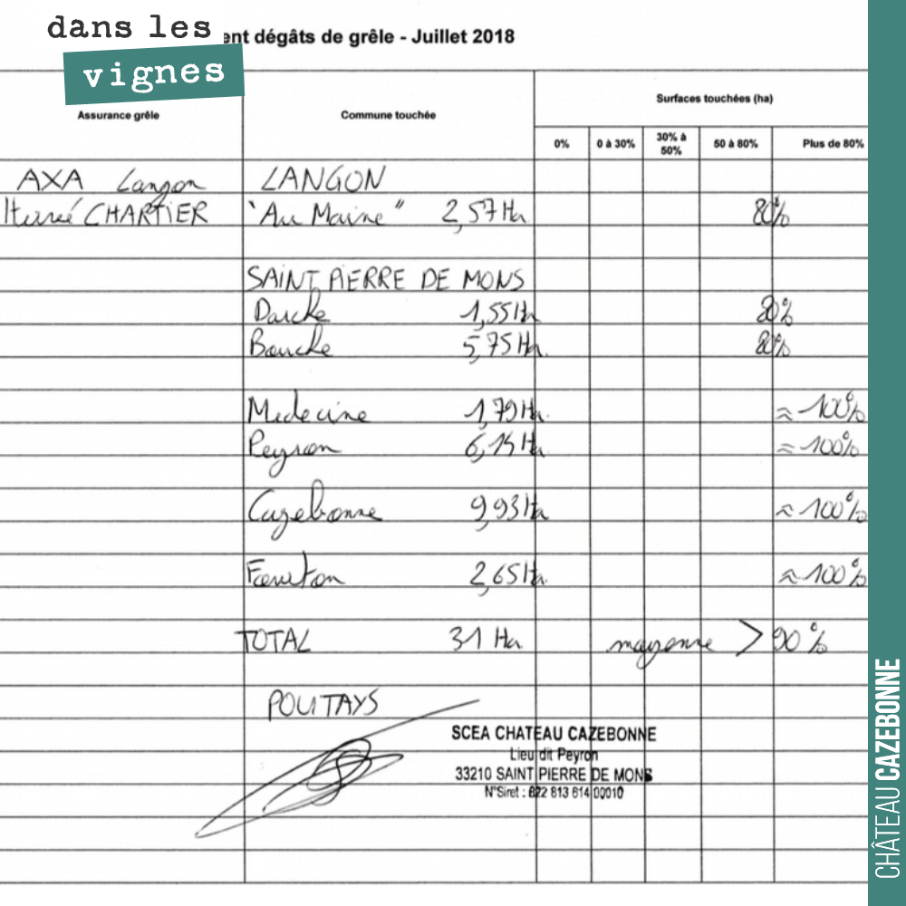 Le syndicat des Vins de Graves nous a demandé de faire un point sur les dégâts suite à la grêle.
Voici notre déclaration. Et il faudra voir ce que donnent les quelques grappes restantes.